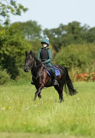 Fantastic competition pony