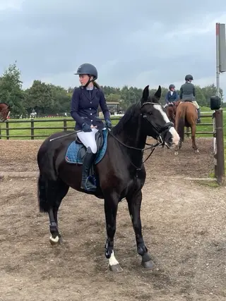 Stunning fun allrounder