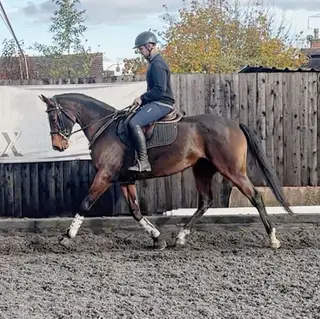 Talented RoR All-Rounder Ready to Excel in Any Sphere