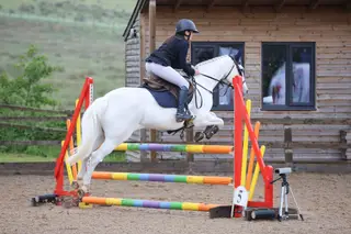 Fast, forward, fearless mare