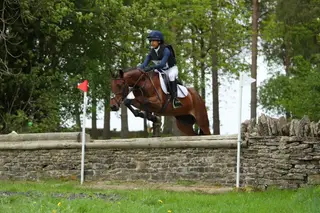 Talented fun allrounder pony