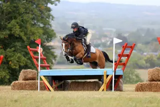 14hh forward jumping pony/allrounder