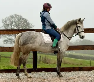 Pumpkin - 14.1hh Sporty Connemara Pony Mare