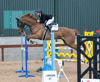 Stunning YR/AM Showjumper
