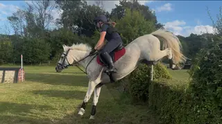 14hh beautiful Connie Mare