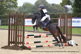 Fun Competition Pony - 2nd Pony