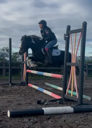 Amazing Mable, 13’1-5yrs-Mare