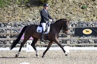 *PRICE MASSIVELY REDUCED*