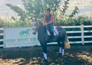 Karl - future eventing star / hunter!