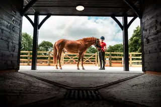 Groom required (Two positions available)