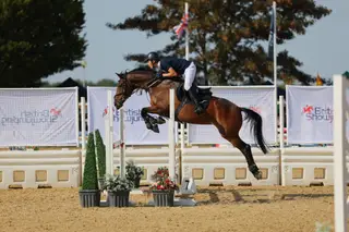 Talented Competition Pony