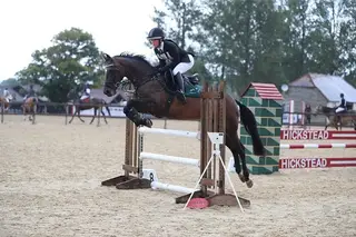 Stunning 15.3h ISHxWB Eventing Mare