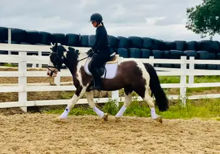 Cookie – A Cracking Cob Ready for Fun, Hacking & More!