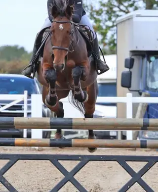 Fun forward allrounder