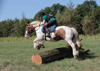 Lovely Hacking and Fun Ride Cob