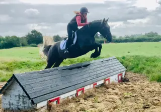Stevie - Perfect Pony Clubber – Gorgeous, Smart & Ready for Anything