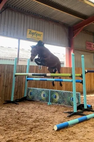 Future Star - Junior 