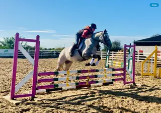 Sophie - super easy and quiet traditional class 1 mare!
