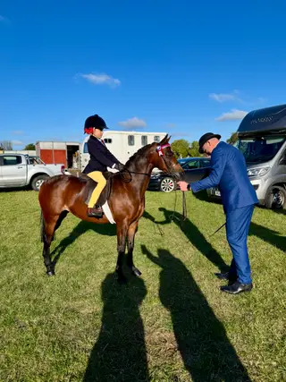 Barkway Moonlight First Ridden Show Pony