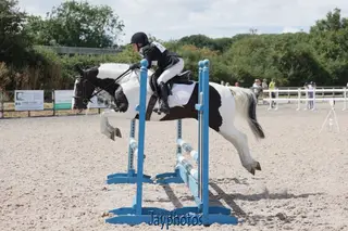 A pony not to be missed!