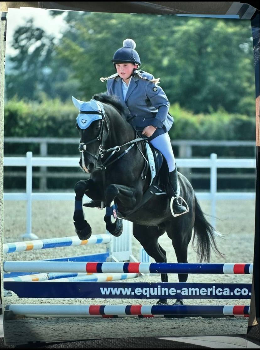 Pony for Sale Fantastic Pony club pony