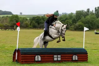 Super Hunting Pony/Pony Club allrounder