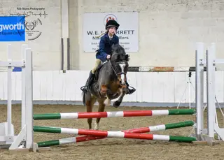 BS Superstar Starter Pony