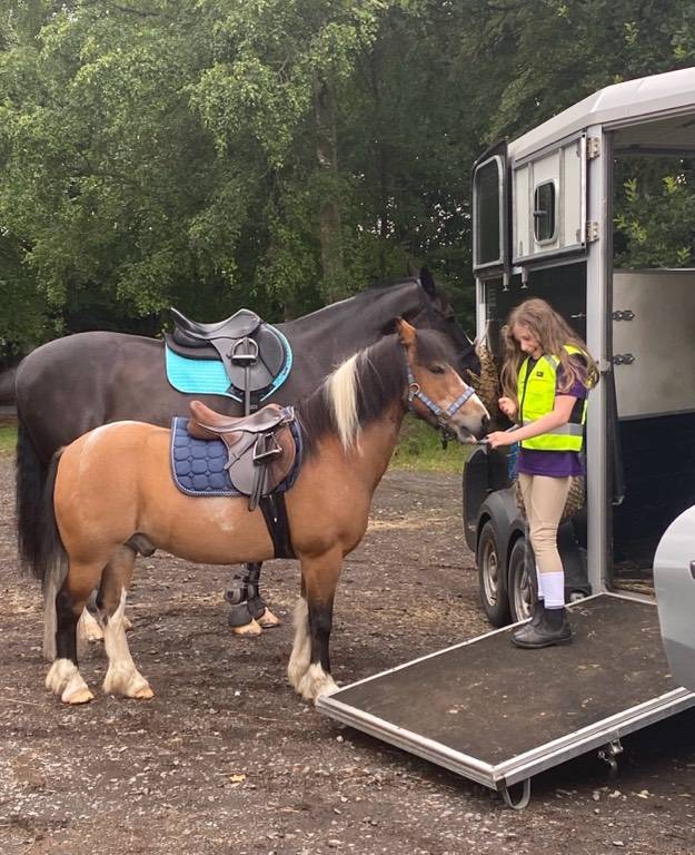 Pony for Sale Lead Rein/Second Pony