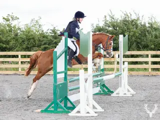 13HH allrounder, Welsh C