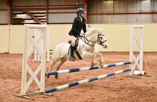 12hh 6yo Grey Gelding, Most perfect 1.5 – PC / NSEA / Hunting