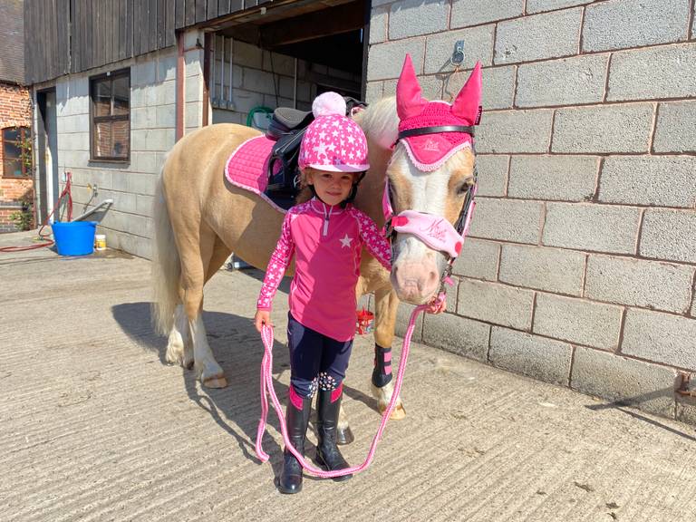 Pony for Sale Perfect Lead Rein pony for sale