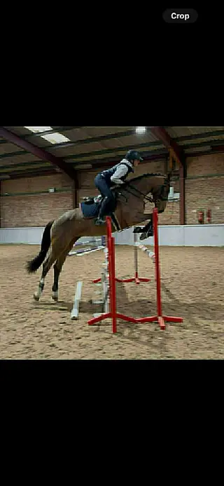 Advert photo