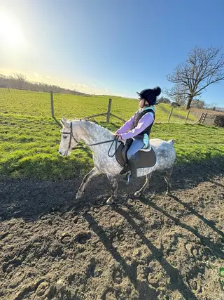 13hh Quality Welsh Section B - Bold XC, Beautiful Paces