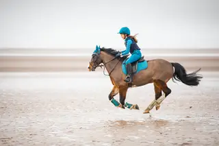 13.1hh 11-year-old Welsh C Gelding – Talented, Flashy Pony with Serious Potential