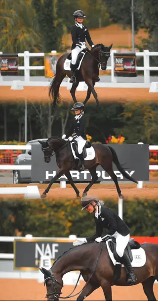 TALENTED CHILDS DRESSAGE PONY 