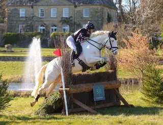 Experienced PC/BS Pony with 195 Points