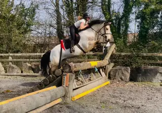 Luna: honest, confident eventing partner