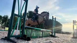 Gorgeous, much-loved family pony