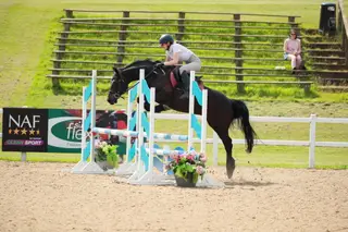 14.1 cracking allrounder