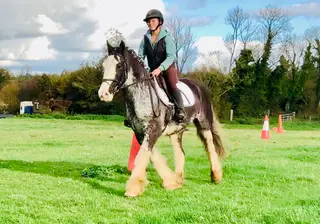 Cian – a gorgeous Allrounder!