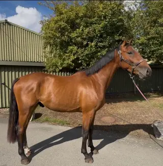 Striking 3 year old 