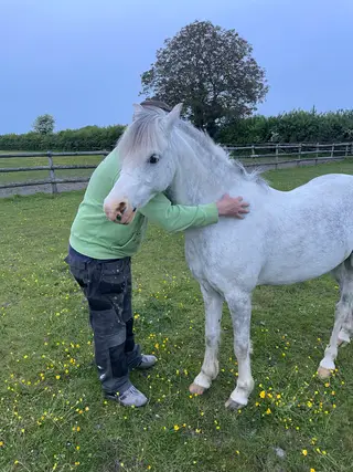 Child’s Best Friend