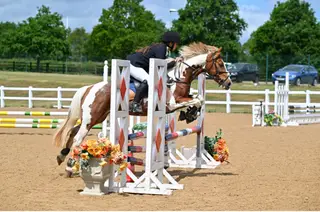 Super Fun Pony Club Pony