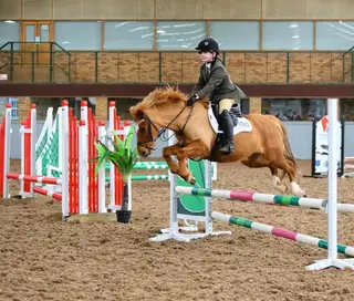 12.2 All rounder mare 