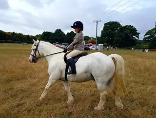 Super family pony