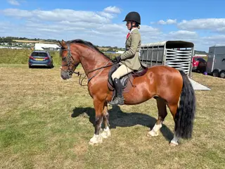 Cracking pony with bags of potential