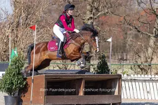 Professionally Produced 146cm Eventing Pony – Safe XC – Proven Results