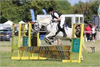 Fantastic, smart, fun allrounder