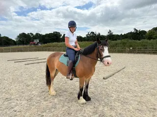 SUPER SWEET 11 YEAR OLD GENUINE SMART COB MARE