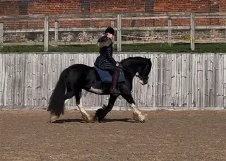 Special ride & drive mare 